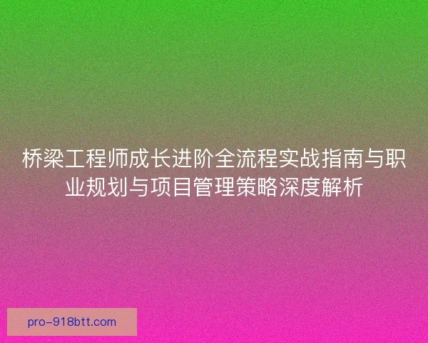 桥梁工程师成长进阶全流程实战指南与职业规划与项目管理策略深度解析
